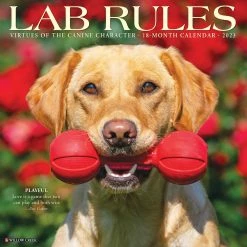 Best Sale 🌟 2023 Lab Rules Wall Calendar by Willow Creek Press ✨