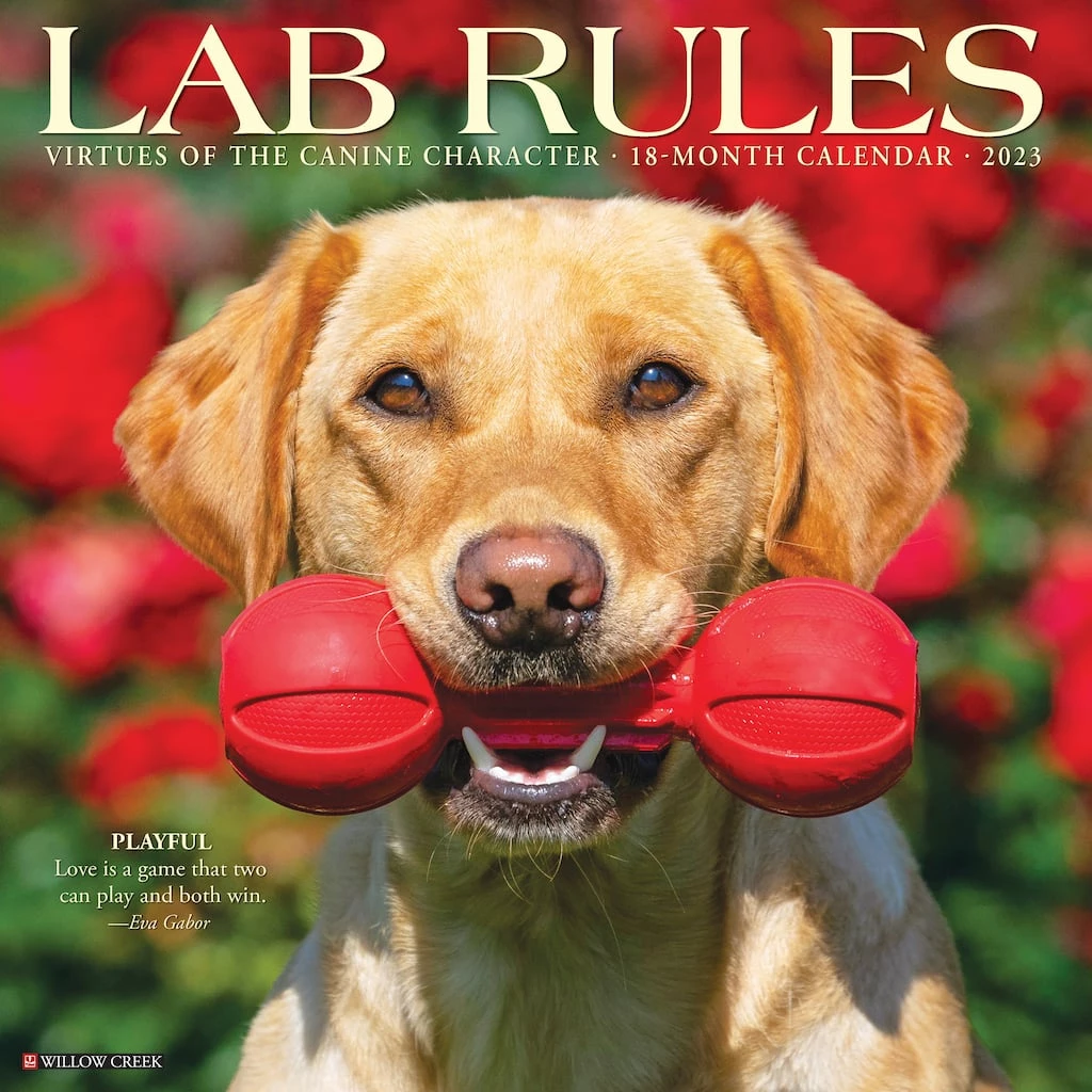 Best Sale 🌟 2023 Lab Rules Wall Calendar by Willow Creek Press ✨ 1 Best Sale 🌟 2023 Lab Rules Wall Calendar by Willow Creek Press ✨