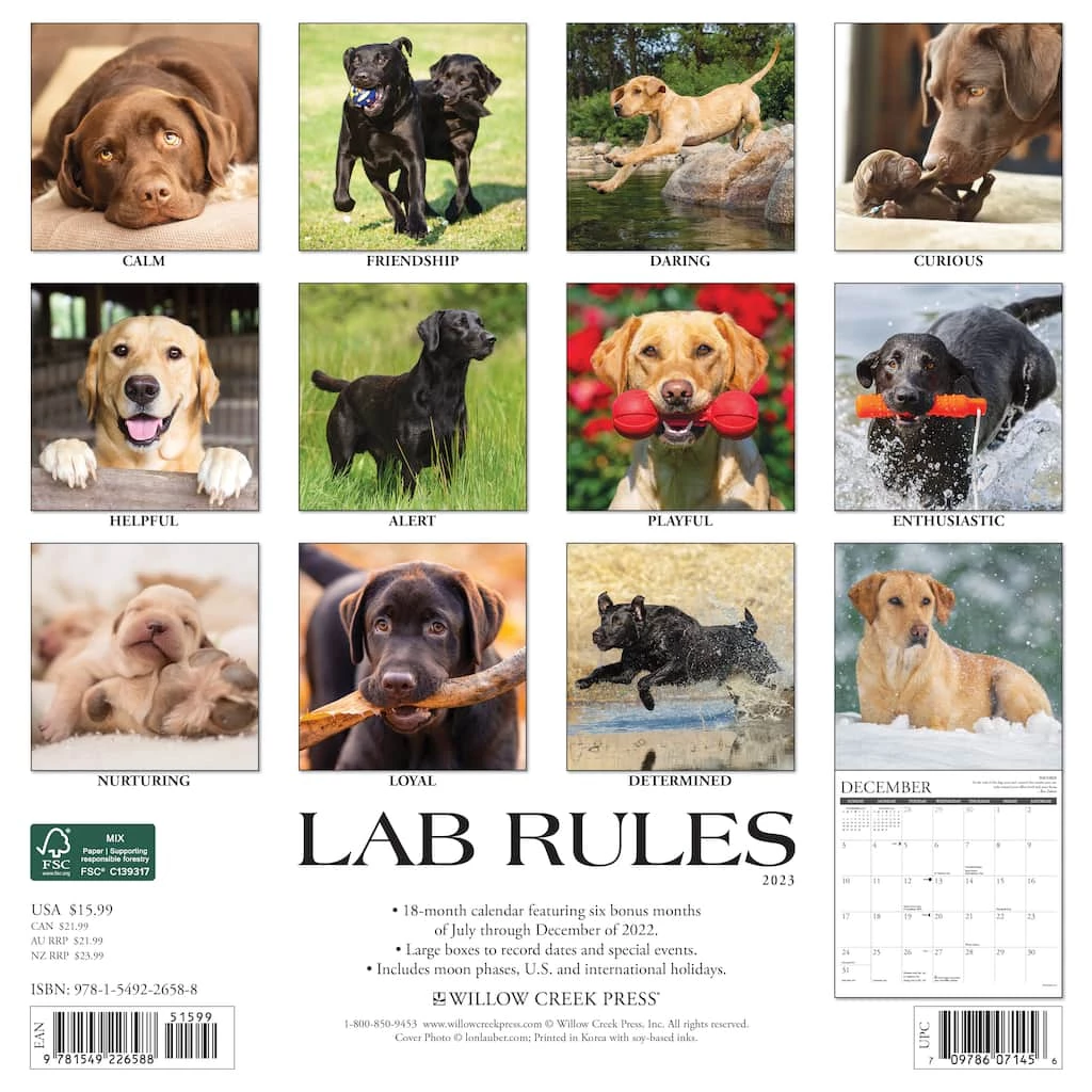 Best Sale 🌟 2023 Lab Rules Wall Calendar by Willow Creek Press ✨ 2 Best Sale 🌟 2023 Lab Rules Wall Calendar by Willow Creek Press ✨ - Image 2