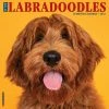 Buy ✨ 2023 Just Labradoodles Wall Calendar by Willow Creek Press ⭐