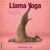 Coupon ⭐ 2023 Llama Yoga Wall Calendar by Willow Creek Press 🤩