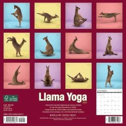 Coupon ⭐ 2023 Llama Yoga Wall Calendar by Willow Creek Press 🤩 -Cheap Willow Creek Press Store D670139S 2