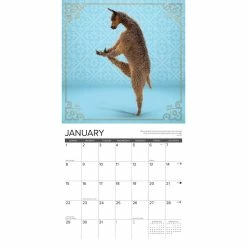 Coupon ⭐ 2023 Llama Yoga Wall Calendar by Willow Creek Press 🤩 -Cheap Willow Creek Press Store D670139S 3