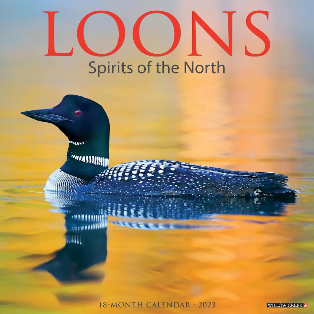 Brand new ๐ 2023 Loons Wall Calendar by Willow Creek Press ๐ 1 Brand new ๐ 2023 Loons Wall Calendar by Willow Creek Press ๐
