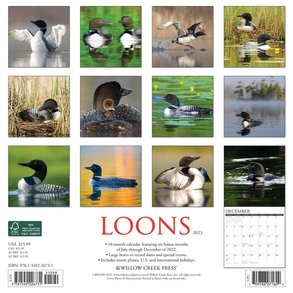 Brand new ๐ 2023 Loons Wall Calendar by Willow Creek Press ๐ 2 Brand new ๐ 2023 Loons Wall Calendar by Willow Creek Press ๐ - Image 2