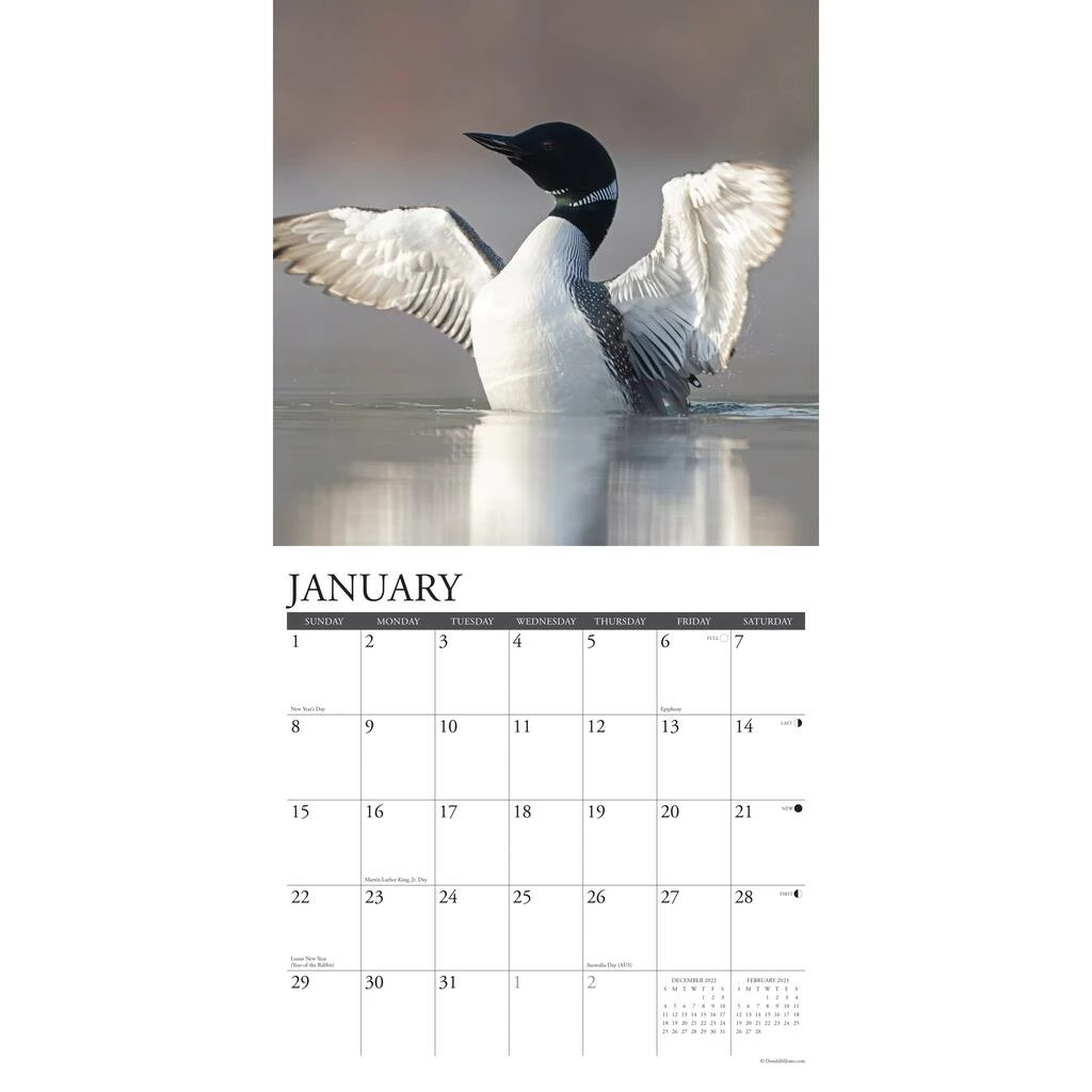 Brand new ๐ 2023 Loons Wall Calendar by Willow Creek Press ๐ 3 Brand new ๐ 2023 Loons Wall Calendar by Willow Creek Press ๐ - Image 3