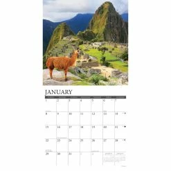 Best Pirce π 2023 Llamas Wall Calendar by Willow Creek Press β 6 Best Pirce π 2023 Llamas Wall Calendar by Willow Creek Press β -Cheap Willow Creek Press Store D670141S 3