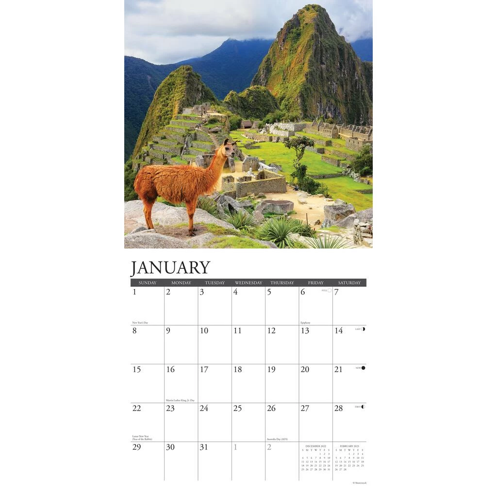 Best Pirce π 2023 Llamas Wall Calendar by Willow Creek Press β 3 Best Pirce π 2023 Llamas Wall Calendar by Willow Creek Press β - Image 3