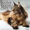 New 🛒 2023 Just Maine Coon Cats Wall Calendar by Willow Creek Press ✨