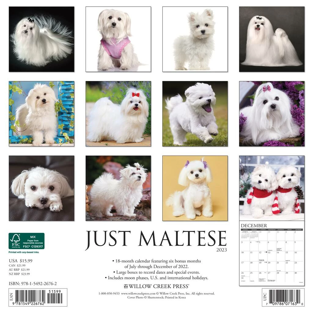 Cheap โ๏ธ 2023 Just Maltese Wall Calendar by Willow Creek Press ๐ 2 Cheap โ๏ธ 2023 Just Maltese Wall Calendar by Willow Creek Press ๐ - Image 2