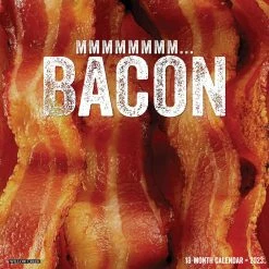 New ๐ 2023 MMMMMMMM… Bacon Wall Calendar by Willow Creek Press โจ
