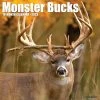 Buy 😀 2023 Monster Bucks Wall Calendar by Willow Creek Press 🌟