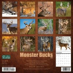 Buy 😀 2023 Monster Bucks Wall Calendar by Willow Creek Press 🌟 -Cheap Willow Creek Press Store D670153S 2