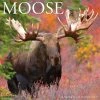 Deals 🔥 2023 Moose Wall Calendar by Willow Creek Press 👏