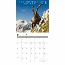 Best Sale 👍 2023 Motivationals Wall Calendar by Willow Creek Press ⌛ 6 Best Sale 👍 2023 Motivationals Wall Calendar by Willow Creek Press ⌛ -Cheap Willow Creek Press Store D670157S 3