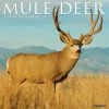 Budget 😍 2023 Mule Deer Wall Calendar by Willow Creek Press 👍