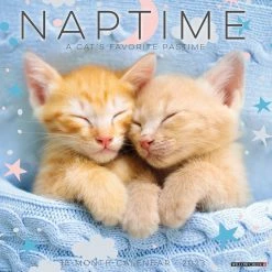 Wholesale ⌛ 2023 Naptime (Cats) Wall Calendar by Willow Creek Press 🛒