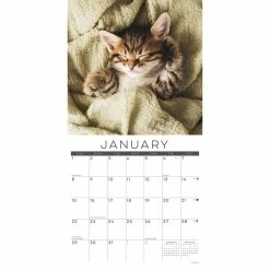 Wholesale ⌛ 2023 Naptime (Cats) Wall Calendar by Willow Creek Press 🛒 -Cheap Willow Creek Press Store D670159S 3