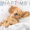 Deals 🎉 2023 Naptime (Dogs & Puppies) Wall Calendar by Willow Creek Press ❤️