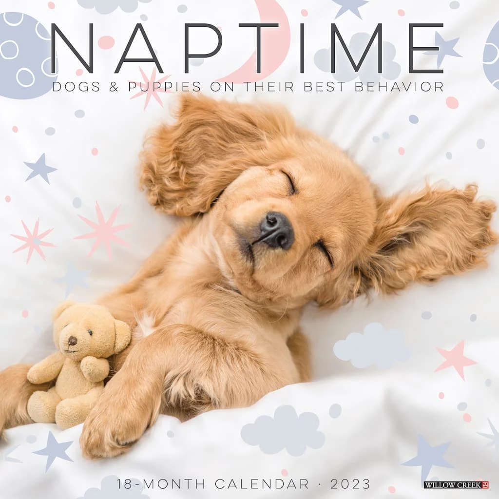 Deals 🎉 2023 Naptime (Dogs & Puppies) Wall Calendar by Willow Creek Press ❤️ 1 Deals 🎉 2023 Naptime (Dogs & Puppies) Wall Calendar by Willow Creek Press ❤️