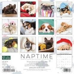 Deals 🎉 2023 Naptime (Dogs & Puppies) Wall Calendar by Willow Creek Press ❤️ 5 Deals 🎉 2023 Naptime (Dogs & Puppies) Wall Calendar by Willow Creek Press ❤️ -Cheap Willow Creek Press Store D670160S 2