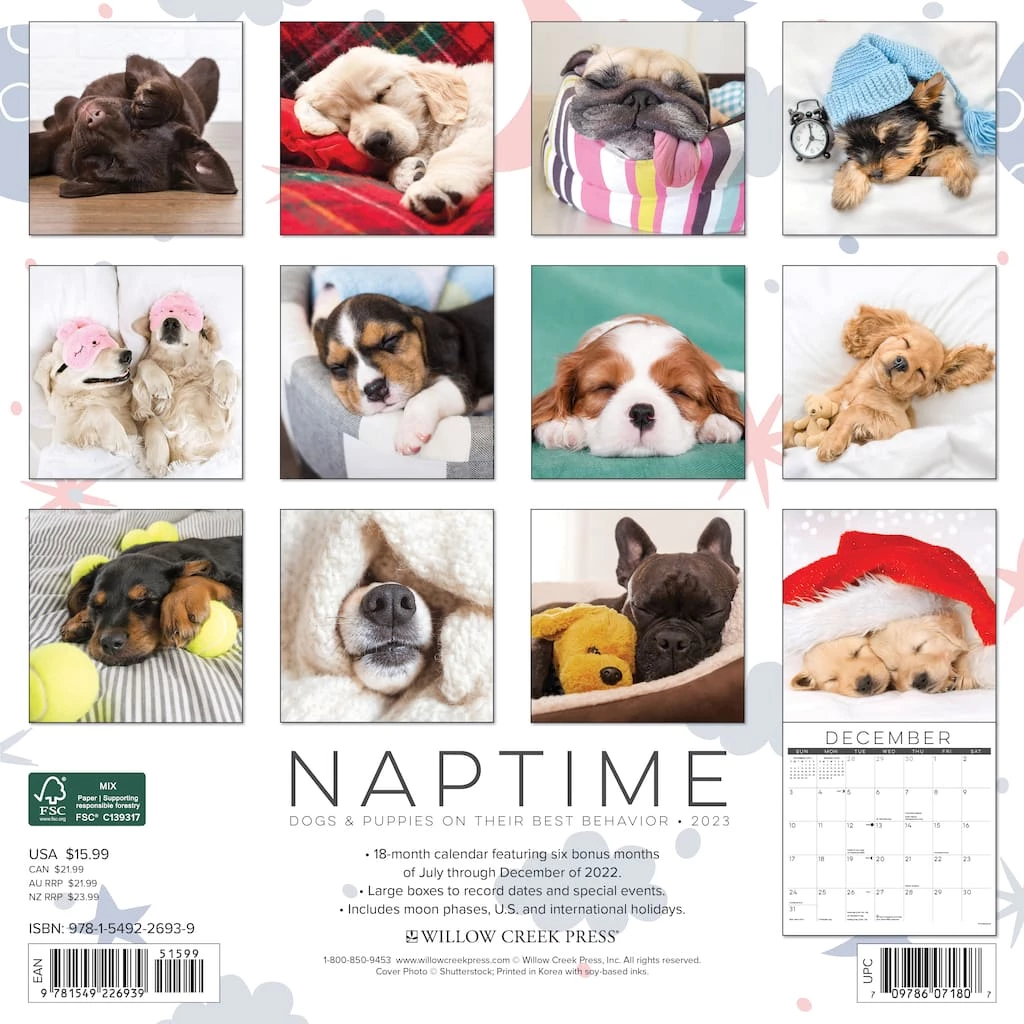 Deals 🎉 2023 Naptime (Dogs & Puppies) Wall Calendar by Willow Creek Press ❤️ 2 Deals 🎉 2023 Naptime (Dogs & Puppies) Wall Calendar by Willow Creek Press ❤️ - Image 2