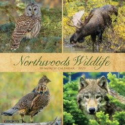 Wholesale 🥰 2023 Northwoods Wildlife Wall Calendar by Willow Creek Press 🥰