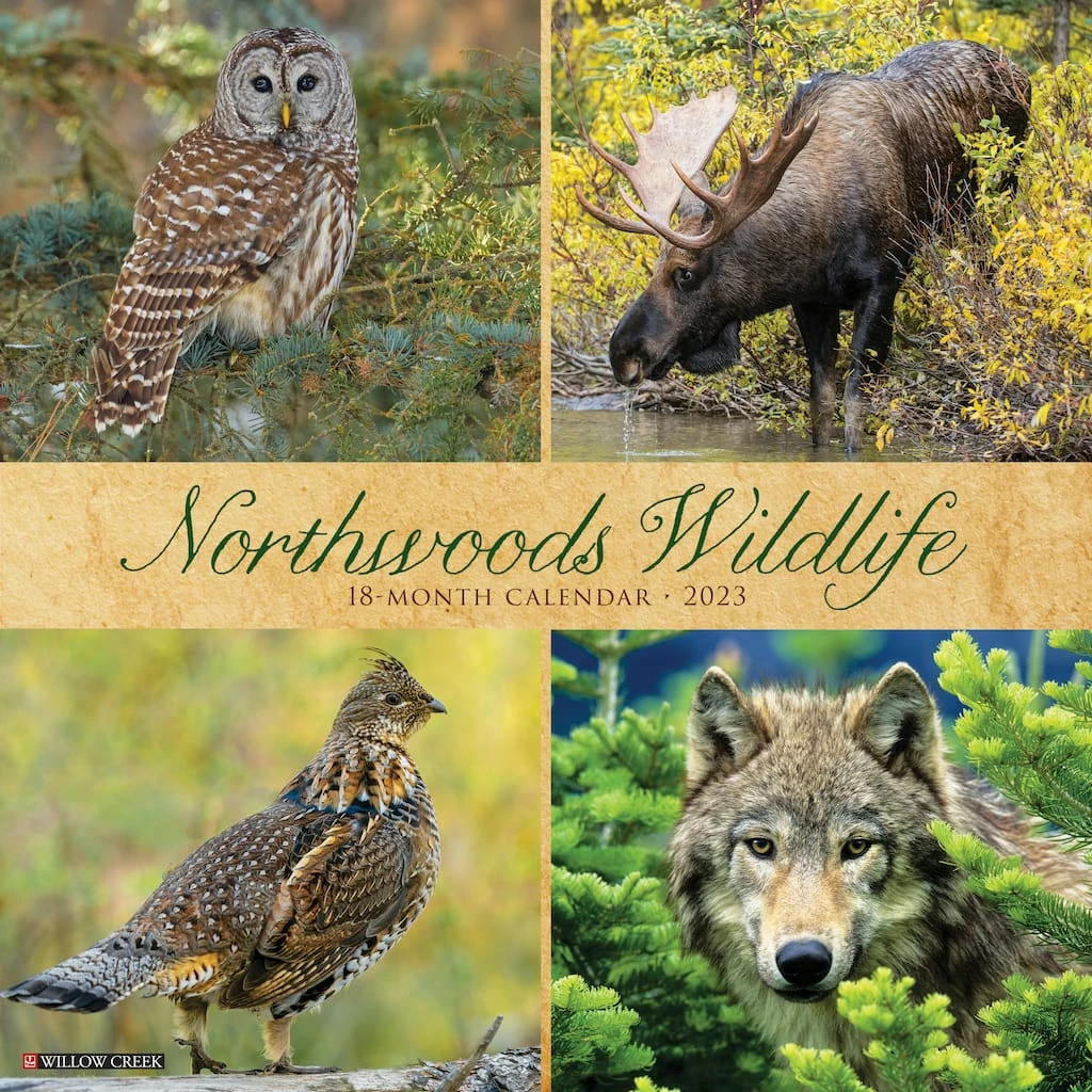 Wholesale ๐ฅฐ 2023 Northwoods Wildlife Wall Calendar by Willow Creek Press ๐ฅฐ 1 Wholesale ๐ฅฐ 2023 Northwoods Wildlife Wall Calendar by Willow Creek Press ๐ฅฐ