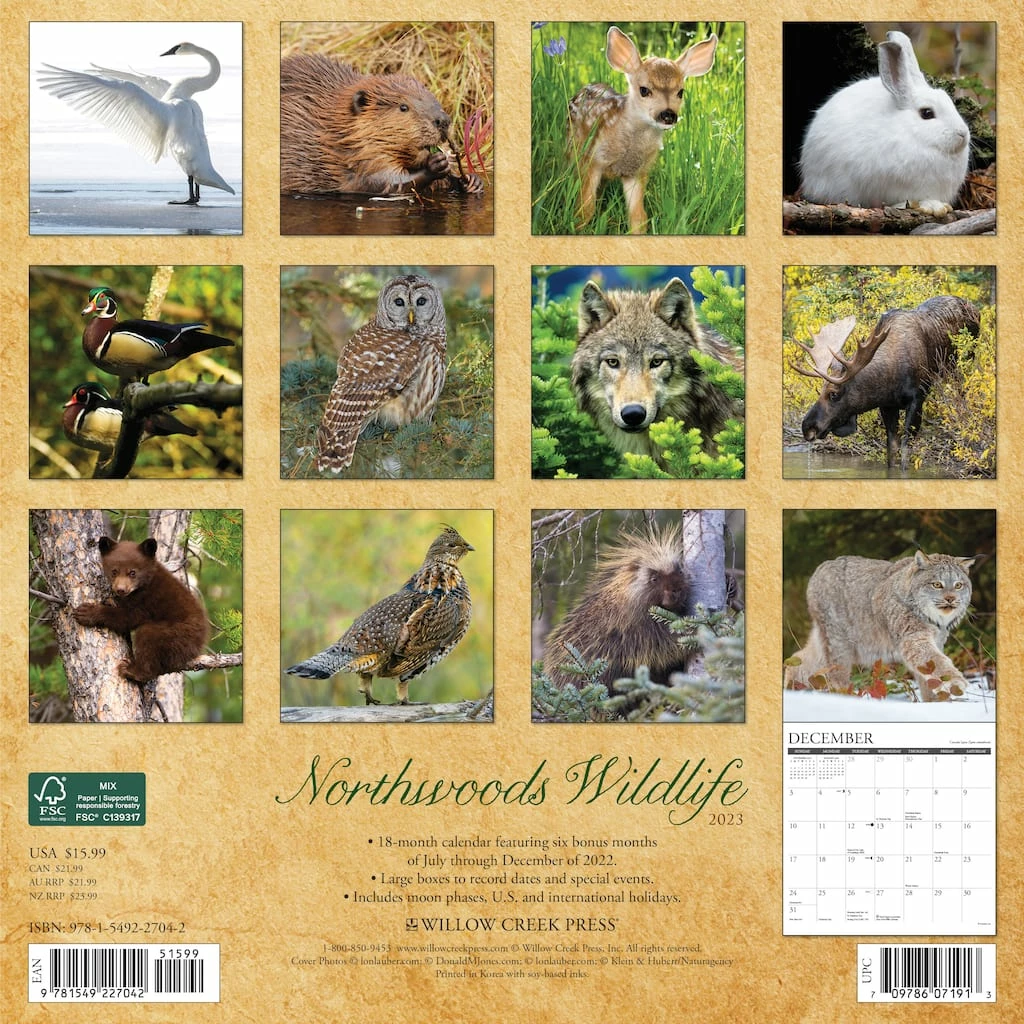 Wholesale ๐ฅฐ 2023 Northwoods Wildlife Wall Calendar by Willow Creek Press ๐ฅฐ 2 Wholesale ๐ฅฐ 2023 Northwoods Wildlife Wall Calendar by Willow Creek Press ๐ฅฐ - Image 2
