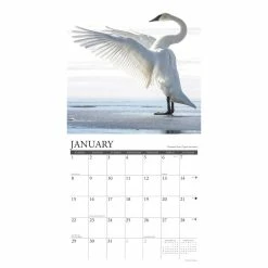 Wholesale ๐ฅฐ 2023 Northwoods Wildlife Wall Calendar by Willow Creek Press ๐ฅฐ 6 Wholesale ๐ฅฐ 2023 Northwoods Wildlife Wall Calendar by Willow Creek Press ๐ฅฐ -Cheap Willow Creek Press Store D670170S 3