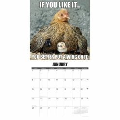 Best deal 🔥 2023 No Clucks Given Wall Calendar by Willow Creek Press 🧨 -Cheap Willow Creek Press Store D670171S 3