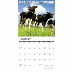 Coupon ❤️ 2023 Not in the Mooood Wall Calendar by Willow Creek Press 🎉 -Cheap Willow Creek Press Store D670173S 3