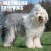 Brand new ❤️ 2023 Just Old English Sheepdogs Wall Calendar by Willow Creek Press 💯