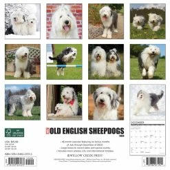Brand new ❤️ 2023 Just Old English Sheepdogs Wall Calendar by Willow Creek Press 💯 -Cheap Willow Creek Press Store D670176S 2