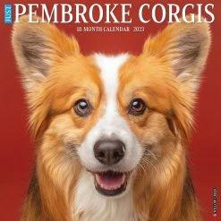 Buy 🥰 2023 Just Pembroke Corgis Wall Calendar by Willow Creek Press ❤️