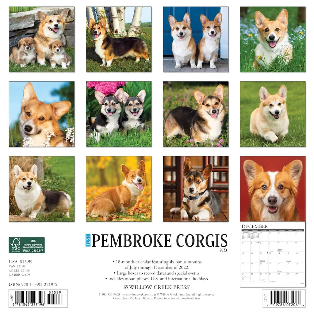 Buy 🥰 2023 Just Pembroke Corgis Wall Calendar by Willow Creek Press ❤️ 2 Buy 🥰 2023 Just Pembroke Corgis Wall Calendar by Willow Creek Press ❤️ - Image 2