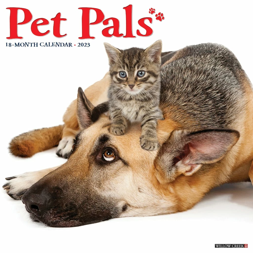 Discount 👏 2023 Pet Pals Wall Calendar by Willow Creek Press 👍 1 Discount 👏 2023 Pet Pals Wall Calendar by Willow Creek Press 👍
