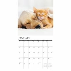 Discount 👏 2023 Pet Pals Wall Calendar by Willow Creek Press 👍 6 Discount 👏 2023 Pet Pals Wall Calendar by Willow Creek Press 👍 -Cheap Willow Creek Press Store D670186S 3