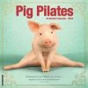 Outlet 🧨 2023 Pig Pilates Wall Calendar by Willow Creek Press 🤩