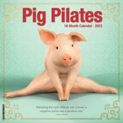 Outlet 🧨 2023 Pig Pilates Wall Calendar by Willow Creek Press 🤩