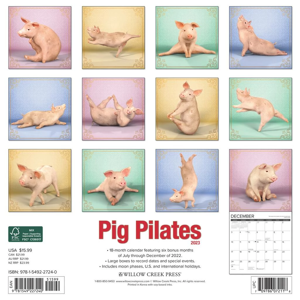Outlet ๐งจ 2023 Pig Pilates Wall Calendar by Willow Creek Press ๐คฉ 2 Outlet ๐งจ 2023 Pig Pilates Wall Calendar by Willow Creek Press ๐คฉ - Image 2