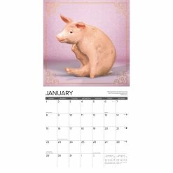 Outlet ๐งจ 2023 Pig Pilates Wall Calendar by Willow Creek Press ๐คฉ 6 Outlet ๐งจ 2023 Pig Pilates Wall Calendar by Willow Creek Press ๐คฉ -Cheap Willow Creek Press Store D670188S 3