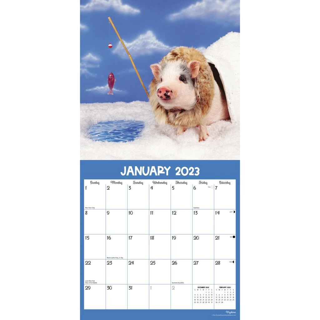 Buy โ๏ธ 2023 Pigs at Play Wall Calendar by Willow Creek Press ๐คฉ 3 Buy โ๏ธ 2023 Pigs at Play Wall Calendar by Willow Creek Press ๐คฉ - Image 3