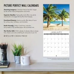 Promo 🔔 2023 Just Pomeranians Wall Calendar by Willow Creek Press 🎁 -Cheap Willow Creek Press Store D670190S 4