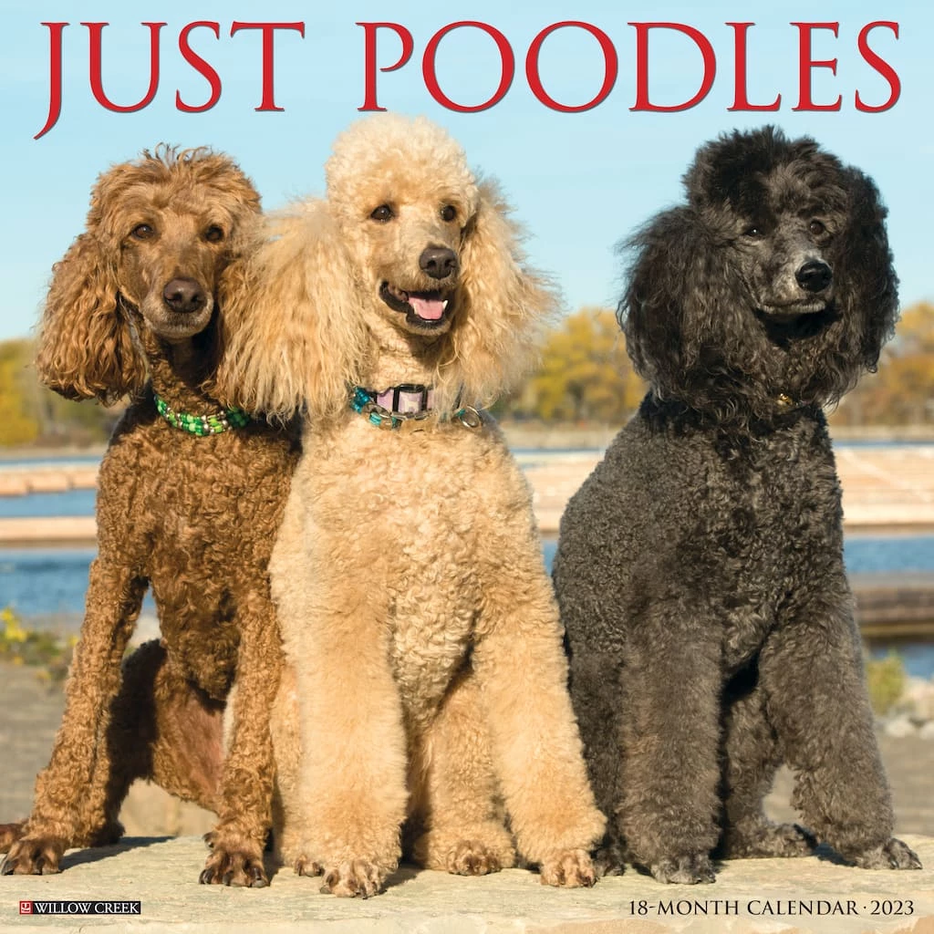 Best Pirce 🥰 2023 Just Poodles Wall Calendar by Willow Creek Press 🛒 1 Best Pirce 🥰 2023 Just Poodles Wall Calendar by Willow Creek Press 🛒