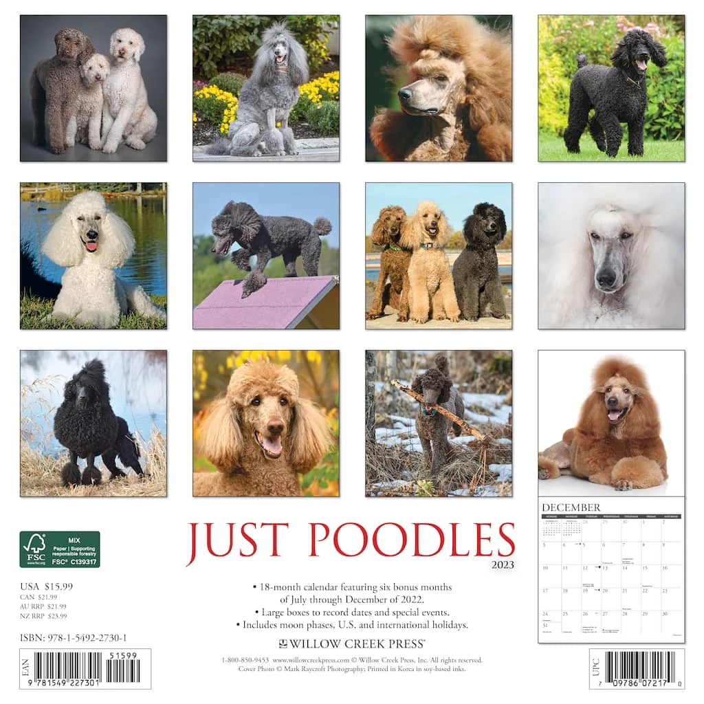 Best Pirce 🥰 2023 Just Poodles Wall Calendar by Willow Creek Press 🛒 2 Best Pirce 🥰 2023 Just Poodles Wall Calendar by Willow Creek Press 🛒 - Image 2