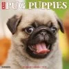 Cheap 💯 2023 Just Pug Puppies Wall Calendar by Willow Creek Press 👍
