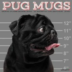 Outlet 🎉 2023 Pug Mugs Wall Calendar by Willow Creek Press 🧨