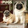 Deals 🔥 2023 Just Pugs Wall Calendar by Willow Creek Press 🧨