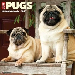 Deals 🔥 2023 Just Pugs Wall Calendar by Willow Creek Press 🧨